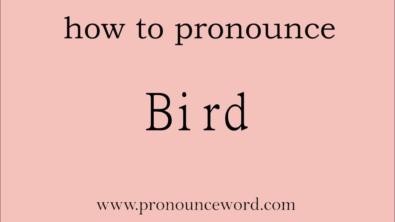 Bird How to pronounce Bird in english (correct!).Start with B. Learn