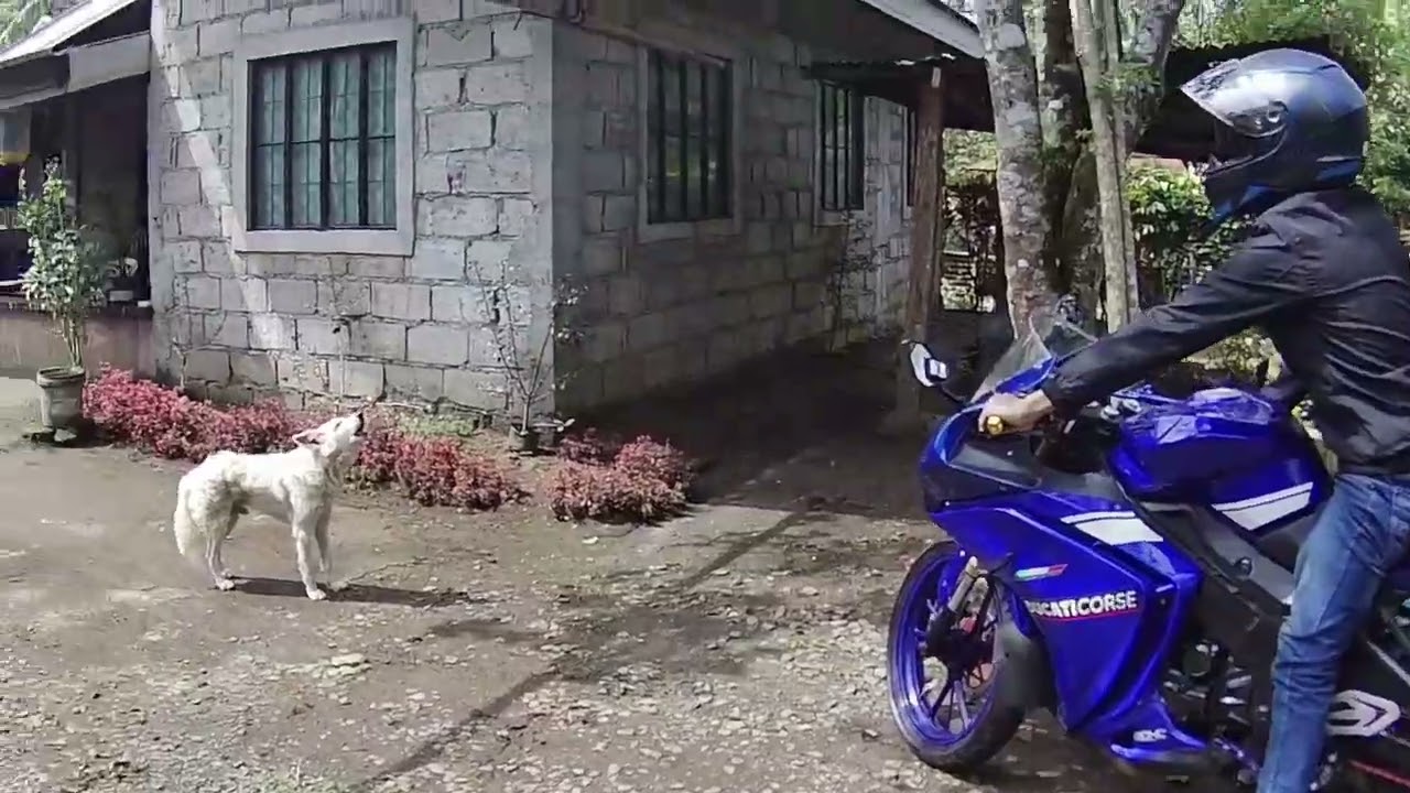 02/20/23 BUHO AMADEO