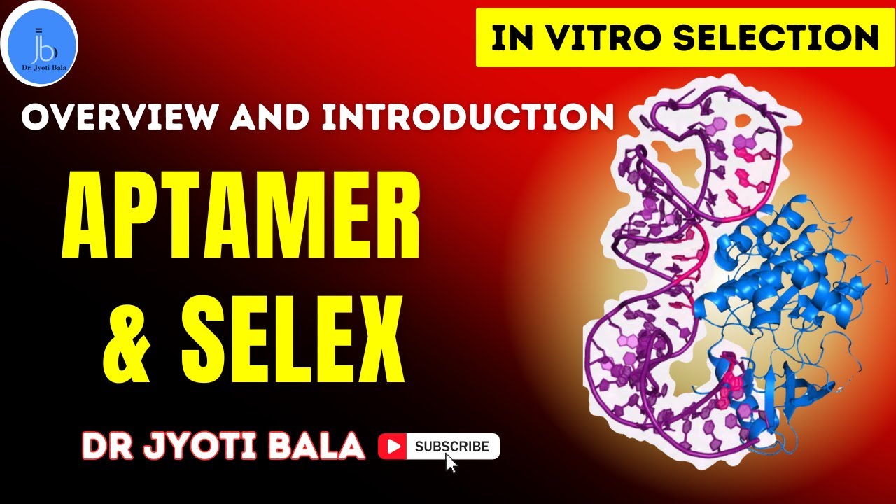 Aptamers|SELEX Technology |Overview and Application of Aptamers|In Vitro Selection-Dr Jyoti Bala