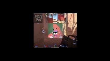 Average CS2 Experience