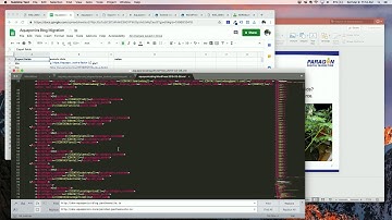 What I learned doing WordPress to Drupal blog migrations