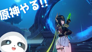【原神】深境螺旋やる~ - ナマケモノのぐーたら配信