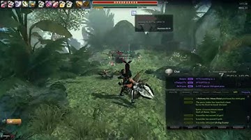 Vindictus EU - Season 2 - Bugs