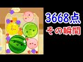 【スイカゲーム】3668点を出した瞬間