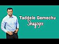 Taddele Gemechu Best Shagoyee New Oromo Music 2025 Taddele Gemechu Best Shagoyee New Oromo Music 2025