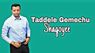 Taddele Gemechu Best Shagoyee' New Oromo music 2025