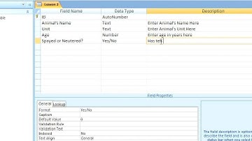 Lesson 2 Creating Table in Design View~1