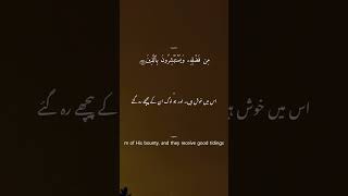 Surah Al Imran 169-171 Explained – Martyrs Are Alive in Islam