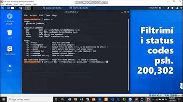 Directory Brute Force - Web Application , Gobuster