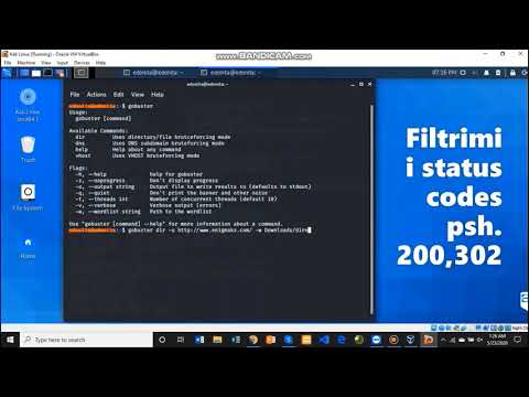 Directory Brute Force - Web Application , Gobuster