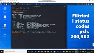 Directory Brute Force - Web Application , Gobuster