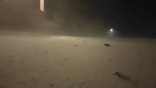 SnowZilla 2017 - omg its going to get me!