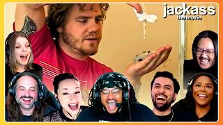 Nobody Could Believe This | Jackass: The Movie (2002) Movie Reaction Compilation