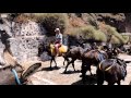 Santorini (Greece) - donkeys torture HD