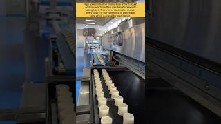 Efficiency Redefined High Speed Dough Processing