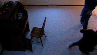 Nancy Wars - Episode Viii - Calamity Of Sephi-Nancy