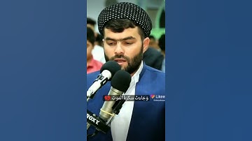 اسمع تلاوة تريحك مع القارئ بيشه قادر الكردي
