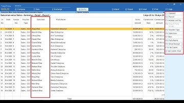 Tally Add On : Salesman/Broker/Agent Module (Sales, Outstanding, Commission Reports)