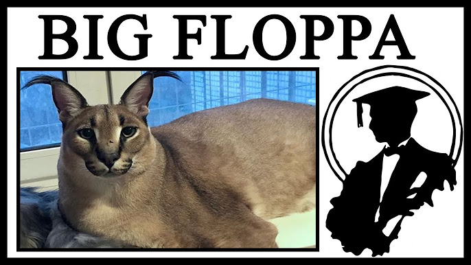 floppa#bingus#googas#zabloing#meme