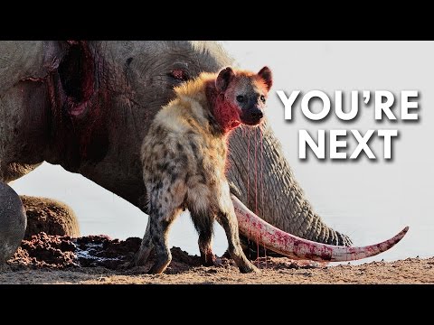 Porno Anastasiya Bakeeva Doktor kabinetida porno xotini