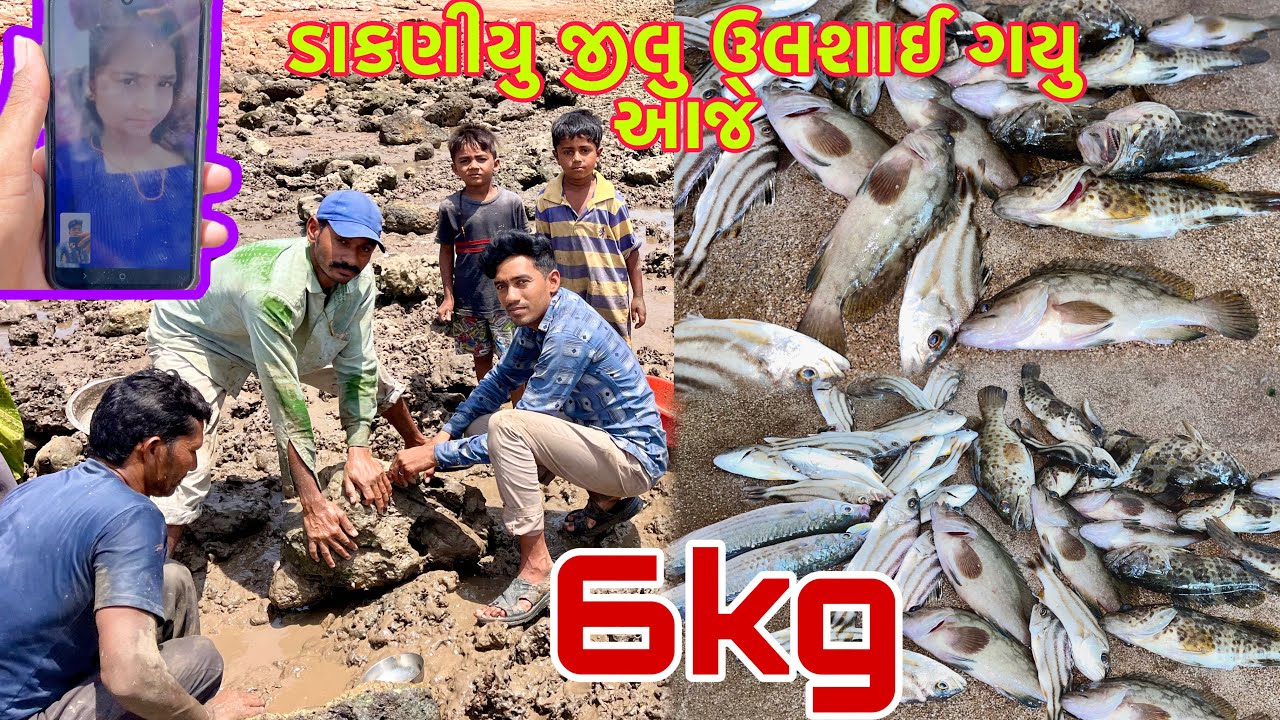 ડાકણીયુ જીલુ ઉલશયુ. ઘણી મચ્છી નીકળી 🦀🦐Fishing 🎣dariyai khedut