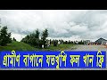 আমেরিকার গ্রামীণ বাগান ||যতখুশি চেরী খান, ব্যাগ ভরে নিয়ে যান || CHERRY PICKUP || YousufUSA