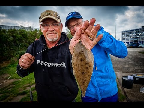 Visblad TV - tongvissen in hartje Rotterdam