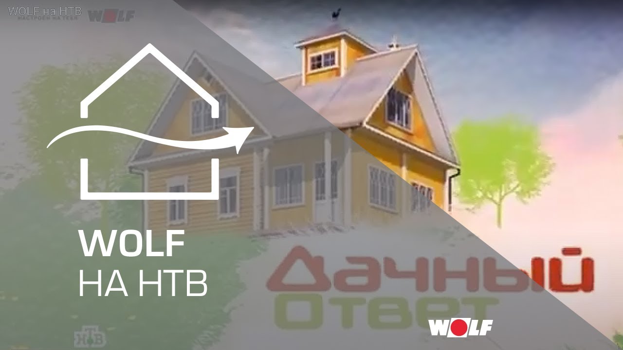 Волк на авто