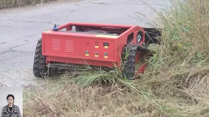 China radio controlled bush trimmer with best price for sale buy online