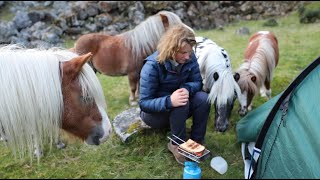 Camping on the Moor | 6 Ponies | 1 Dog | & The CAT!