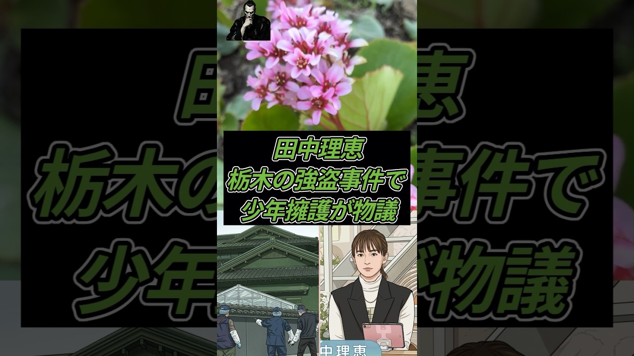 田中理恵、栃木の強盗事件で 少年擁護が物議