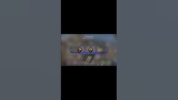 csgo pin badge capsule