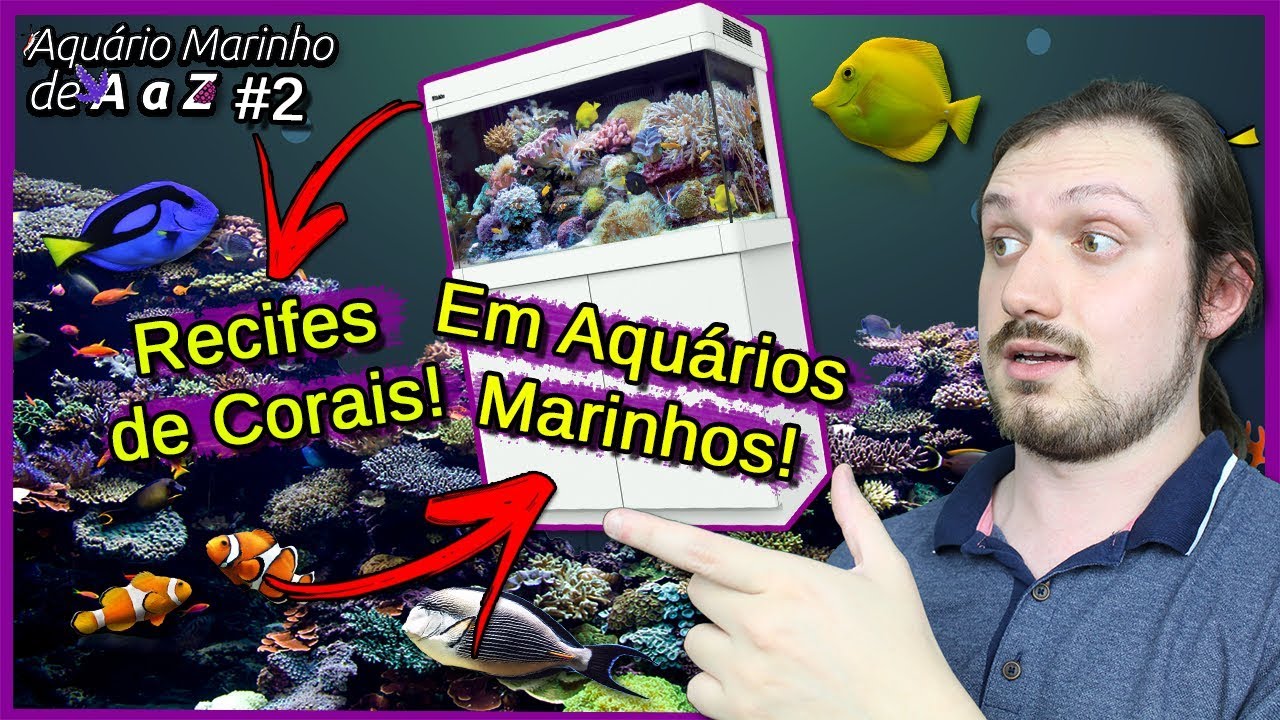 TUDO Sobre os Recifes de CORAIS e Aquários Marinhos! - Aquário Marinho de A a Z #2