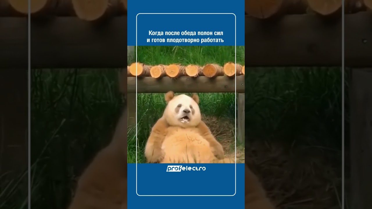 Когда после обеда полон сил и готов плодотворно работать 