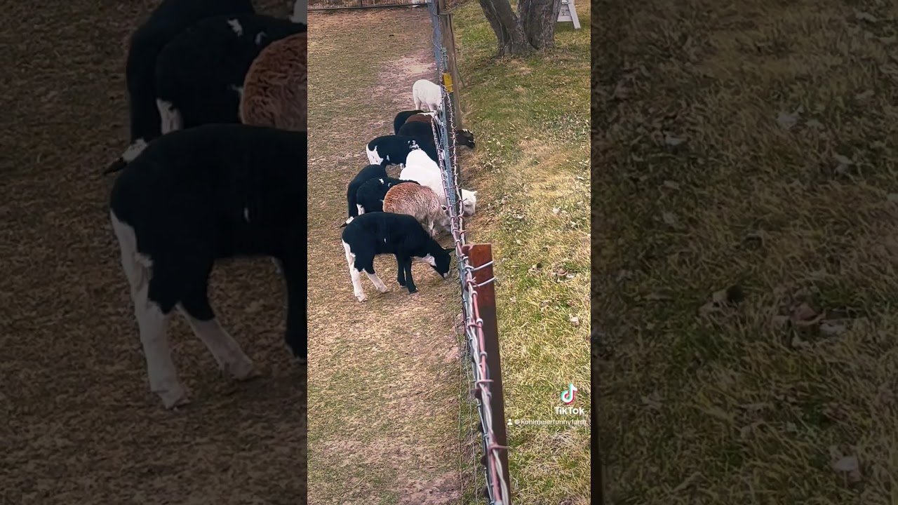 The grass is always greener on the other side 😆 