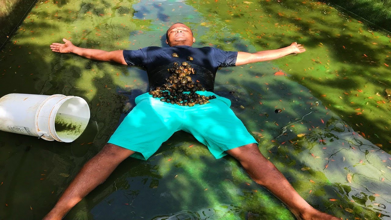 ESTO SUCEDIO HOY EN EL CRIADERO DE JAVIER GOLDFISH