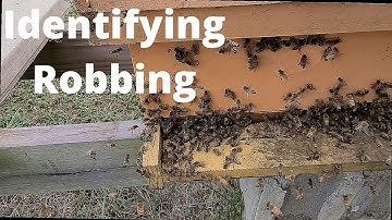 Identifying Robbing and what to do about it when its too late!