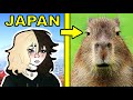 CAPYBARAS EXPLAINED
