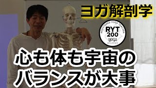 RYT200ヨガ解剖学　心も体も宇宙のバランスが大事