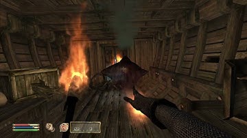 Day 445 - Killing Adoring Fan Every Day Until Elder Scrolls Skyblivion is Released