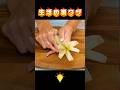 #生活の知恵 #生活小妙招 #生活小技巧 #tips #lifehacks