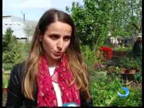 \"სიყვარულის და მეგობრობის\" სკვერი - ბათუმის ახალი სავიზიტო ბარათი