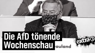 AfD tönende Wochenschau (4)