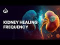 Healing frequency music kidney healing frequency heal kidney subliminal