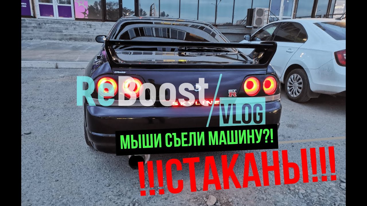 Бобры съели машину