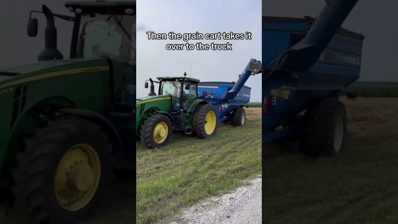 Cutting 3 000 Lbs Of Wheat Tractor Farm Farmerfarmer Farming Farmlife Agriculture