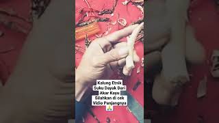 Download Lagu Kalung Etnik Suku Dayak MP3 Download Lagu Kalung Etnik Suku Dayak MP3