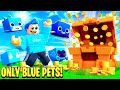 Using ONLY BLUE PETS To BEAT PET SIMULATOR X!!