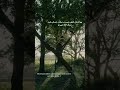 #viral #youtubeshorts #ytshorts #instagram #islam #islamicvideo