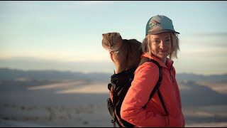 Benji, The Traveling Cat - Vlog Trailer